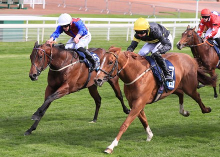 Horse Racing from York Racecourse, UK - 12 May 2021