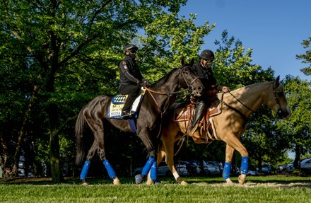 Horse Racing Preakness Preparations, Baltimore, USA - 11 May 2021