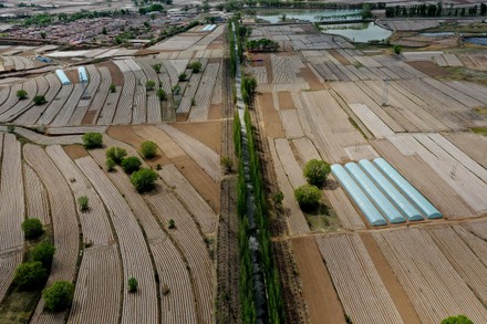 500 Potato farming Stock Pictures, Editorial Images and Stock Photos ...