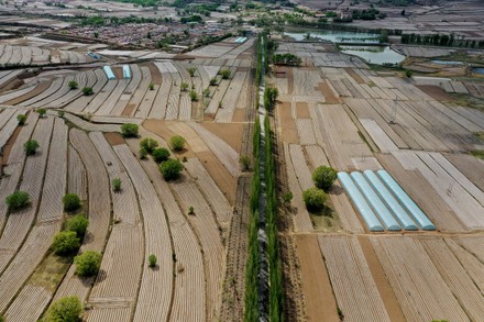 500 Potato farming Stock Pictures, Editorial Images and Stock Photos ...