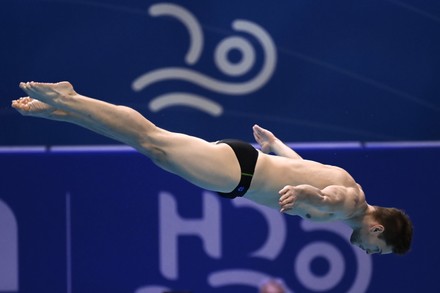 Timo Barthel Germany Competes Mens Diving Editorial Stock Photo Stock Image Shutterstock