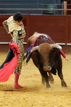 St Isidro Bullfighting Fair, Madrid, Spain - 13 May 2021