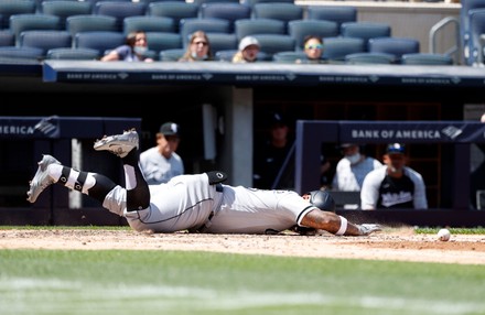 Chicago White Sox catcher Yermin Mercedes has a new 'do. : r
