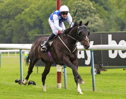Horse Racing from Hydock Racecourse, UK - 29 May 2021