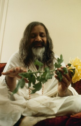 Indian Guru Maharishi Mahesh Yogi Holding Editorial Stock Photo - Stock ...