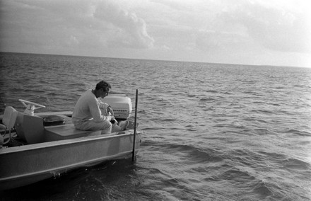 Actor Paul Newman Riding Boat 1967 Editorial Stock Photo - Stock Image 