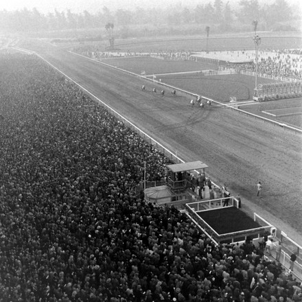 500 1940s horse racing Stock Pictures, Editorial Images and Stock ...