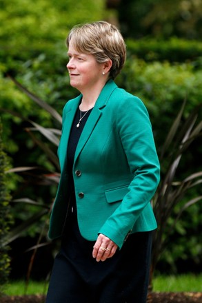 Former Head Of NHS Test And Trace Dido Harding On Downing Street, London, United Kingdom - 28 May 2021