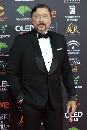 34th 'Goya' Cinema Awards 2020 Red Carpet Photocall, Malaga, Spain - 25 Jan 2020
