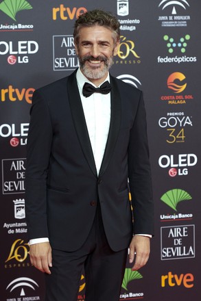 34th 'Goya' Cinema Awards 2020 Red Carpet Photocall, Malaga, Spain - 25 Jan 2020