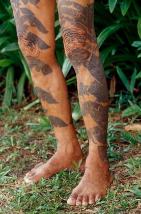 Tattooed Legs Indigenous Man Sarawak Borneo Editorial Stock Photo
