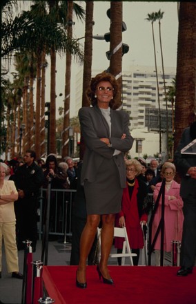 Actress Sophia Loren Hollywood Walk Fame Editorial Stock Photo - Stock