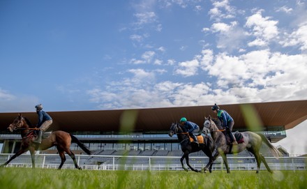 Contenders prepare for Dubai Duty Free Irish Derby with racecourse gallop, The Curragh, Co. Kildare - 06 Jun 2021