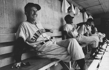 Baseball Player Bill Rigney Dugout During Editorial Stock Photo - Stock ...