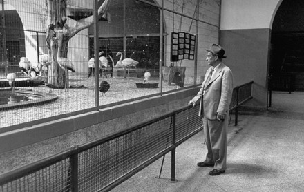 Dr William Mann Director National Zoo Editorial Stock Photo - Stock