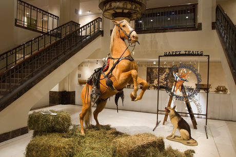 Christies to auction Roy Rogers' stuffed horse Trigger, New York, America - 09 Jul 2010