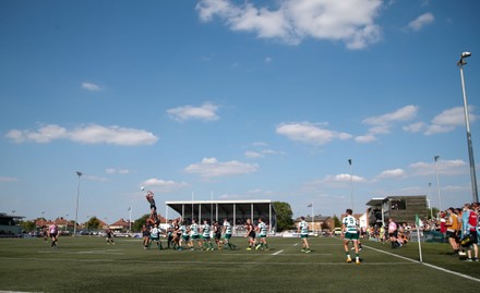 500 Trailfinders sports ground Stock Pictures, Editorial Images and