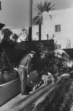 25 Premier abdul karim kassem Stock Pictures, Editorial Images and