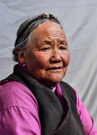 Tseten Lhamo Poses Portrait Qoideog Village Editorial Stock Photo 