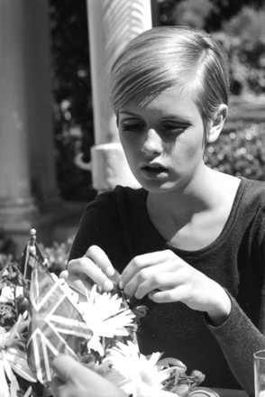 Picture English Model Actress Twiggy Taken Editorial Stock Photo ...