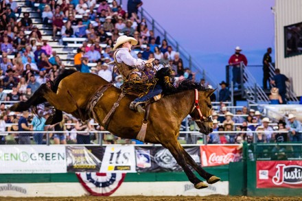 Hunter Cure Wrestles Steer Becoming 2021 Editorial Stock Photo - Stock ...