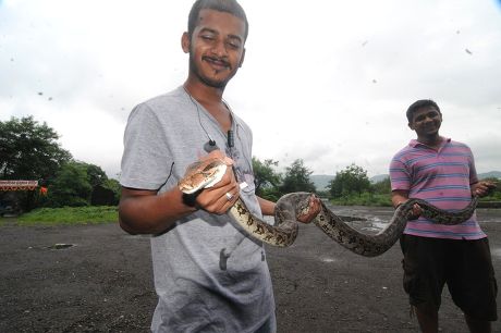 16 Man with python Stock Pictures, Editorial Images and Stock Photos ...