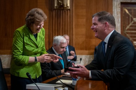 28 Department of labor secretary martin j. walsh Stock Pictures