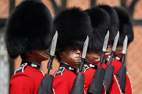 Members 1st Battalion Grenadier Guards Take Editorial Stock Photo ...