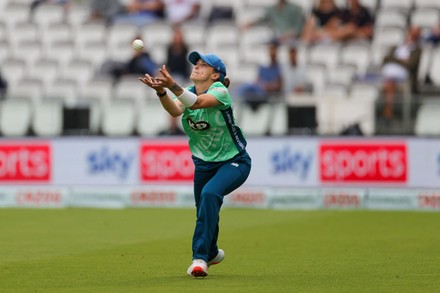 Wicket Grace Gibbs Oval Invincibles Women Editorial Stock Photo - Stock ...