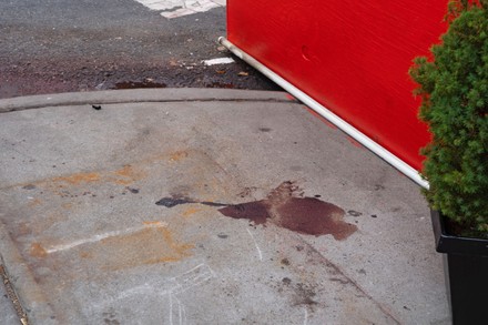 __COUNT__ Mass Shooting in Queens Leaves 10 Wounded in New York, US