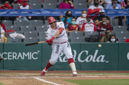 Quintana Roo Tigres v Diablos Rojos - Mexican Baseball League Playoffs ...