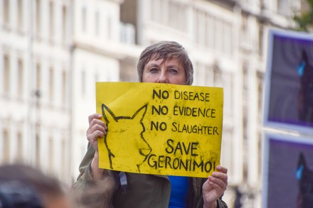 Save Geronimo the alpaca protest, London, UK