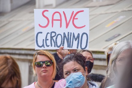 Save Geronimo the alpaca protest, London, UK