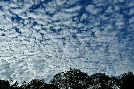 Altocumulus Cloud Formations Over Ancient Woodlands Editorial Stock ...