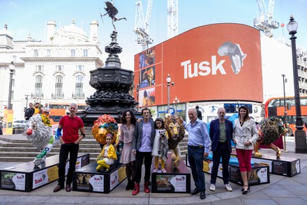 Tusk Lion Trial, London, UK - 10 Aug 2021