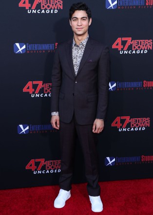 Los Angeles Premiere Of Entertainment Studios' '47 Meters Down Uncaged', Westwood, USA - 13 Aug 2019