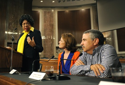 Rep. Diane Watson (D-CA) (L), Actress Sigourney Weaver (C), and New York Times journalist Thomas Friedman participate in a panel discussion on global environmental issue on Capitol Hill in Washington on April 15, 2010.