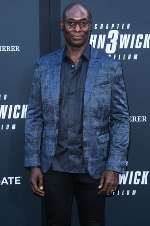 Los Angeles Special Screening Of Lionsgate's 'John Wick: Chapter 3 - Parabellum', Hollywood, USA - 15 May 2019