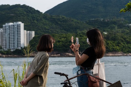 14 Lei ye mun Stock Pictures, Editorial Images and Stock Photos
