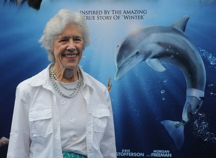 Dolphin Tale, Los Angeles, California, United States - 17 Sep 2011