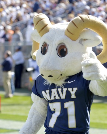 Penn State Mascot Nittany Lion Salutes Editorial Stock Photo - Stock ...