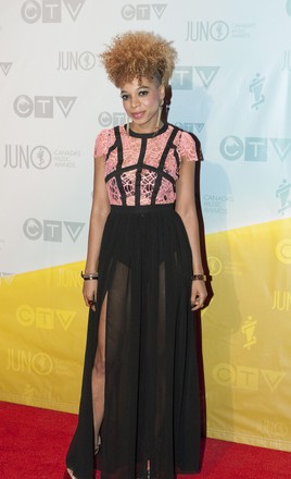 The 2013 Juno Awards, Regina, Canada - 22 Apr 2013