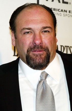 James Gandolfini Died Heart Attack Age Editorial Stock Photo - Stock ...