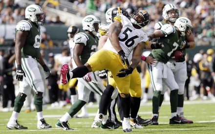 250 Lamarr woodley Stock Pictures, Editorial Images and Stock Photos