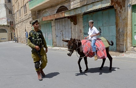 Israeli Settler Patrols Past Settler Boy Editorial Stock Photo - Stock ...