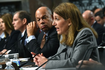 Senate Hearing on the U.S. Response to Ebola in Washington, D.C, District of Columbia, United States - 12 Nov 2014