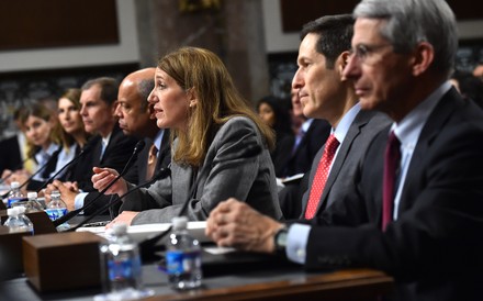 Senate Hearing on the U.S. Response to Ebola in Washington, D.C, District of Columbia, United States - 12 Nov 2014