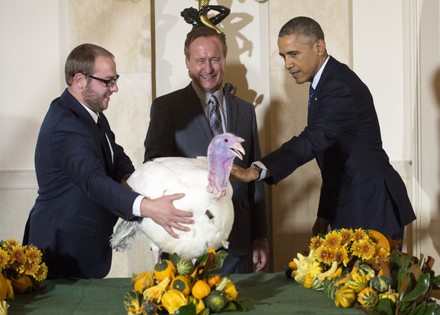 President Obama Pardons the National Thanksgiving Turkey in Washington, D.C, District of Columbia, United States - 26 Nov 2014