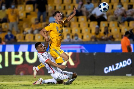 Tigres vs Atlas, Monterrey, Mexico - 28 Aug 2021