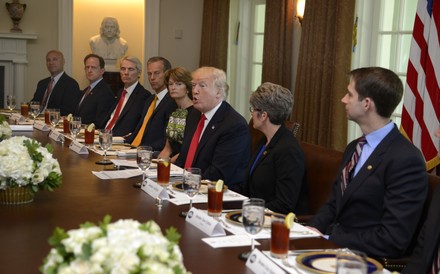 President Trump hosts lunch for members of Congress at the White House, Washington, District of Columbia, United States - 13 Jun 2017